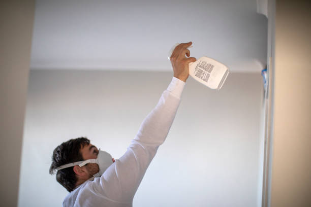 Best Attic Mold Remediation in Pinehurst, TX