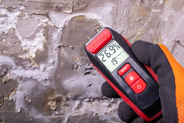 Best Insurance-Related Mold Remediation in Pinehurst, TX